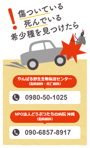 2021-9-17 沖縄にしかない道路標識 ｸｲﾅ事故注意