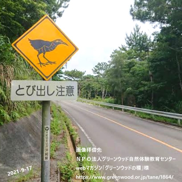 沖縄にしかない道路標識