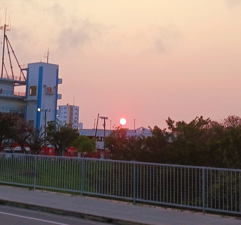 夕日のお姿